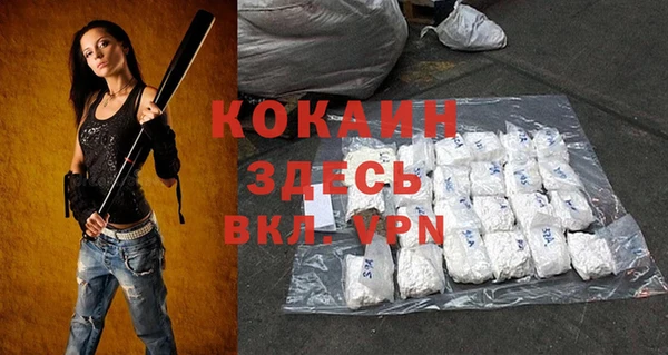 индика Покачи
