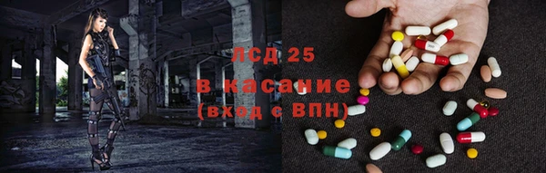 индика Покачи